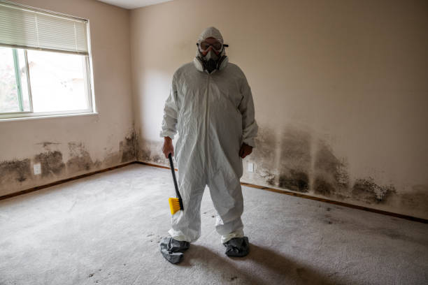 Mold Removal for HVAC Installations in Ninnekah, OK